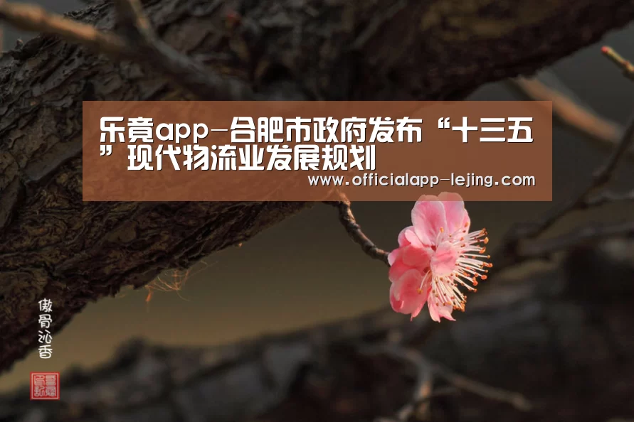 乐竟app-合肥市政府发布“十三五”现代物流业发展规划(图4) 乐竟体育官方